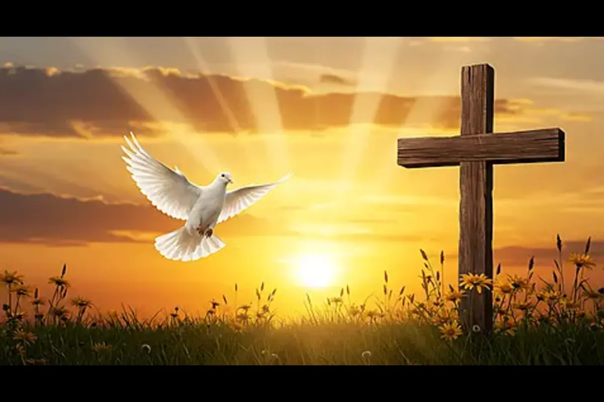 peaceful-dove-sunset-cross-holy-spirit-christian-faith